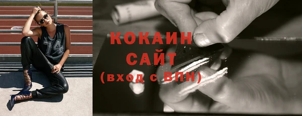 крисы Мегион
