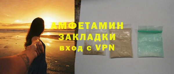 крисы Мегион