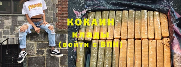 крисы Мегион