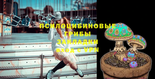крисы Мегион