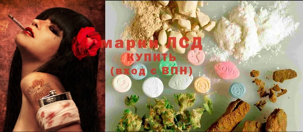 крисы Мегион