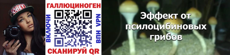 Псилоцибиновые грибы Cubensis  Купить где  Усть-Кут 